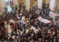 Pro-Palestine protesters